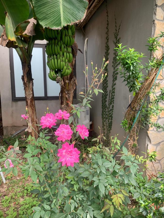 Trang An Peaceful Homestay Ninh Binh Buitenkant foto